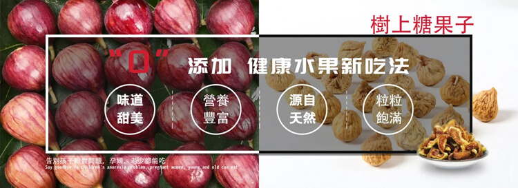 新疆無花果乾8-8.jpg